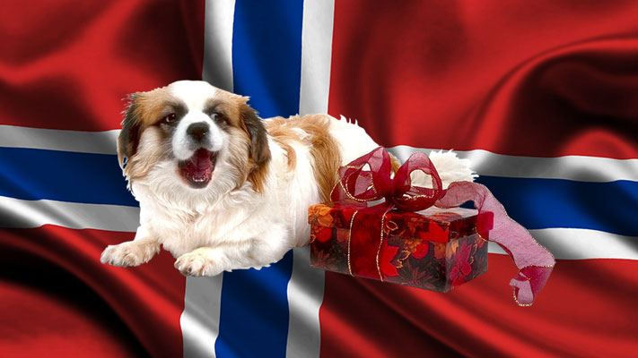 Norges jackpotter gevinster